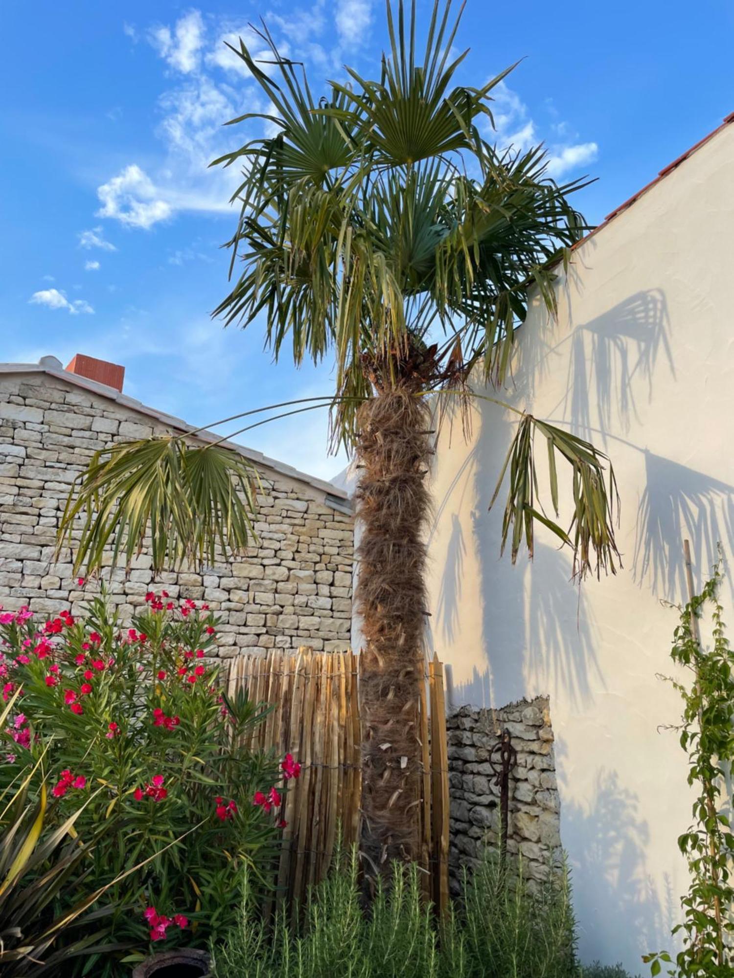 Maisons 322 - Maison La Flamboyante Le Bois-Plage-en-Ré Kültér fotó